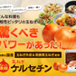 サラサラ玉ねぎケルセチン《約3ヶ月分》国産/北海道産/淡路島産/タマネギ/玉ねぎ/玉葱/醗酵黒玉ねぎ/サプリ