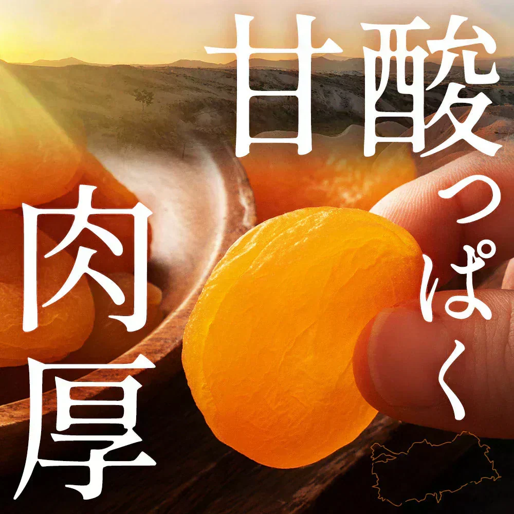 使用不可 ドライフルーツ 肉厚 やわらか ドライ アプリコット 700g [ 送料無料 砂糖不使用 1kgより少し少ない700g トルコ産 大容量 お徳用 業務用 お取り寄せ 種抜き 杏 杏子 あんず ドライアンズ アンズ フルーツ ]