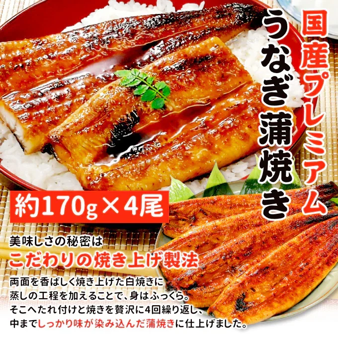 国産 うなぎ蒲焼き 約170g×4尾 送料無料 九州産 今だけ200gにグレードアップ
