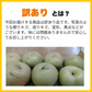 梨 訳あり（愛甘水・幸水・豊水・秋月・新高・愛宕・新興・秋麗・甘太など）約5kg（約5～24玉) 旬な品種をお届け【8月下旬頃～9月下旬順次発送】