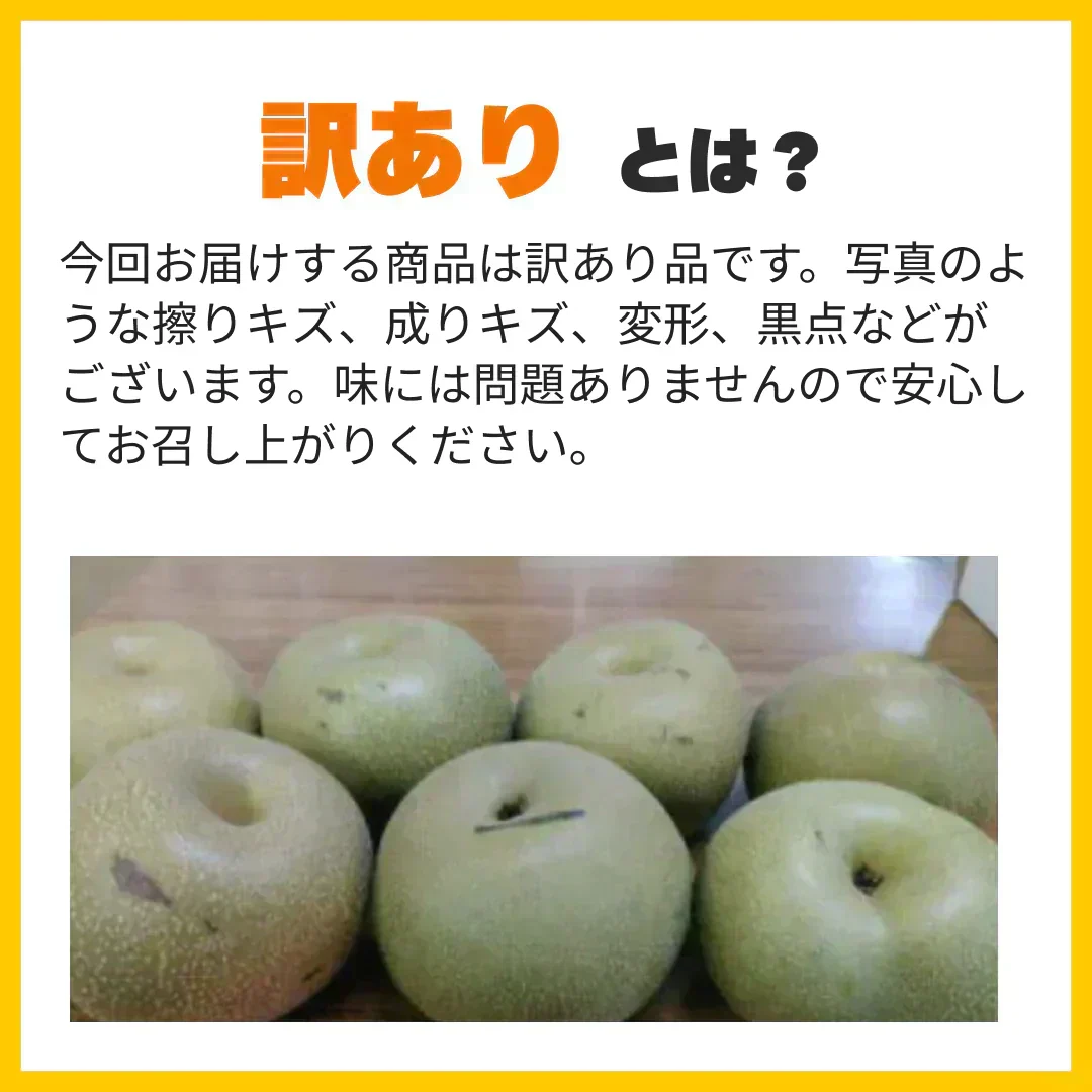 梨 訳あり（愛甘水・幸水・豊水・秋月・新高・愛宕・新興・秋麗・甘太など）約5kg（約5～24玉) 旬な品種をお届け【8月下旬頃～9月下旬順次発送】