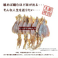 ＜国産するめ100g＞ あたりめ