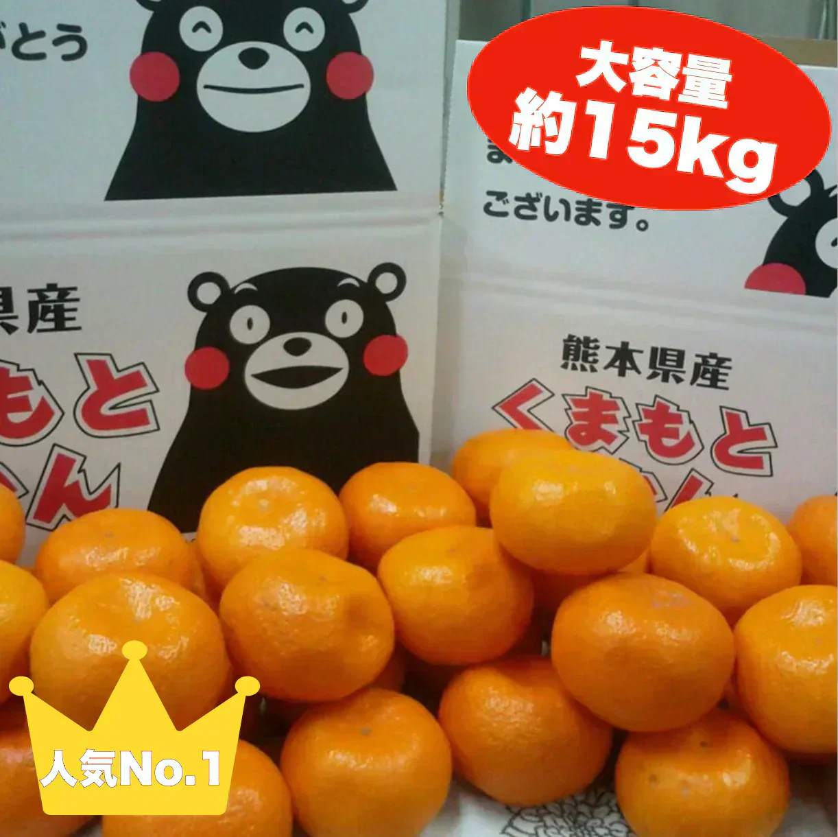 熊本産  みかん 訳あり 約15kg ご家庭用 送料無料 【9月中旬～10月下旬頃発送予定】