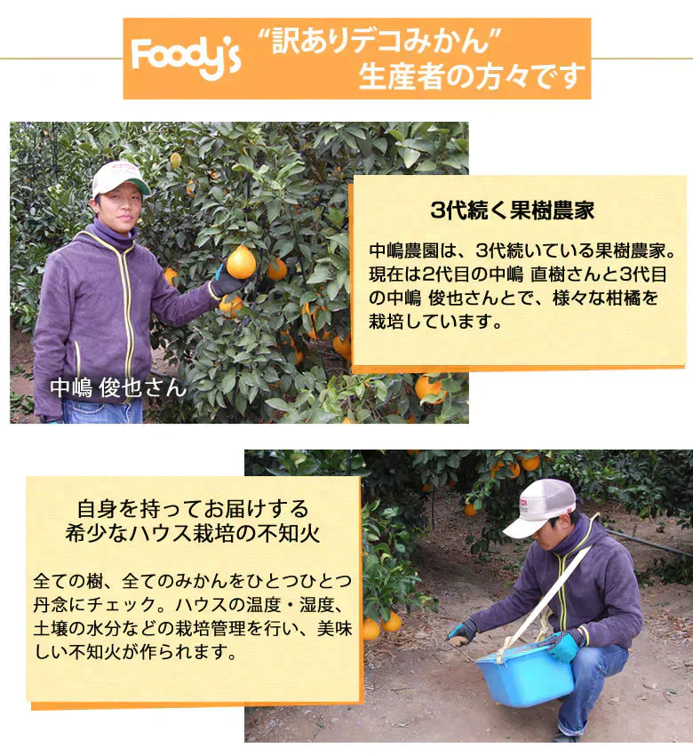 【12月下旬～1月上旬頃より順次出荷】デコポン 同品種 デコみかん 訳あり 送料無料 4kg ハウス栽培 みかん 熊本県産 不知火 ミカン 蜜柑