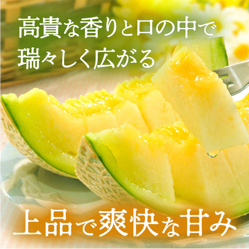 【豊洲市場直送】静岡県産クラウンメロン 1玉