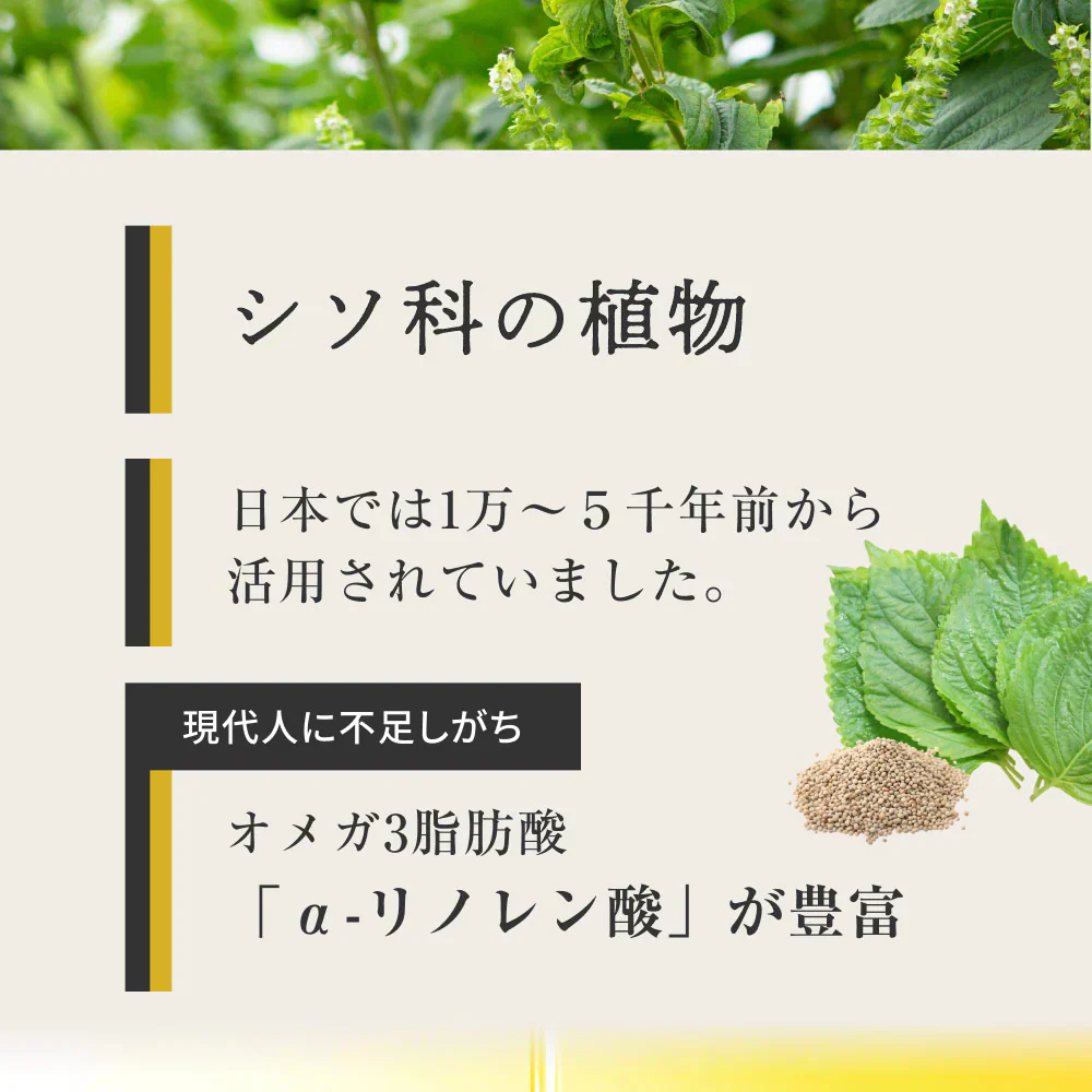 国産 えごま油 低温圧搾 一番搾り 110g 賞味期限：2025年5月6日 カウシェ限定 ｜ オーガライフ