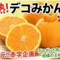 デコポン 同品種 訳ありデコみかん 5kg 箱込 (内容量4kg+補償分500g) 送料無料 熊本県産 フルーツ お取り寄せ みかん ミカン 蜜柑 不知火