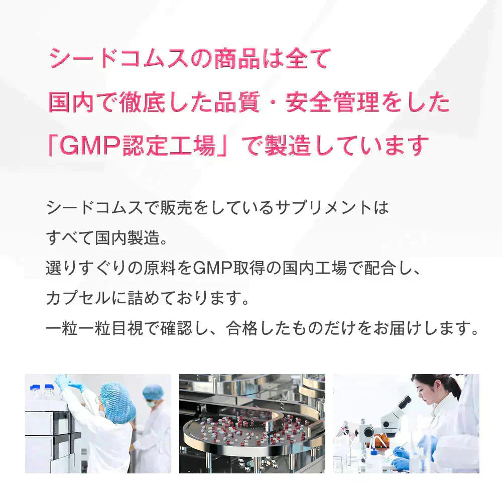 栄養機能食品　亜鉛＆鉄 《約3ヶ月分》1カプセルで亜鉛10mg 鉄10mg同時補給 ミネラル サプリ サプリメント 鉄分【大容量】