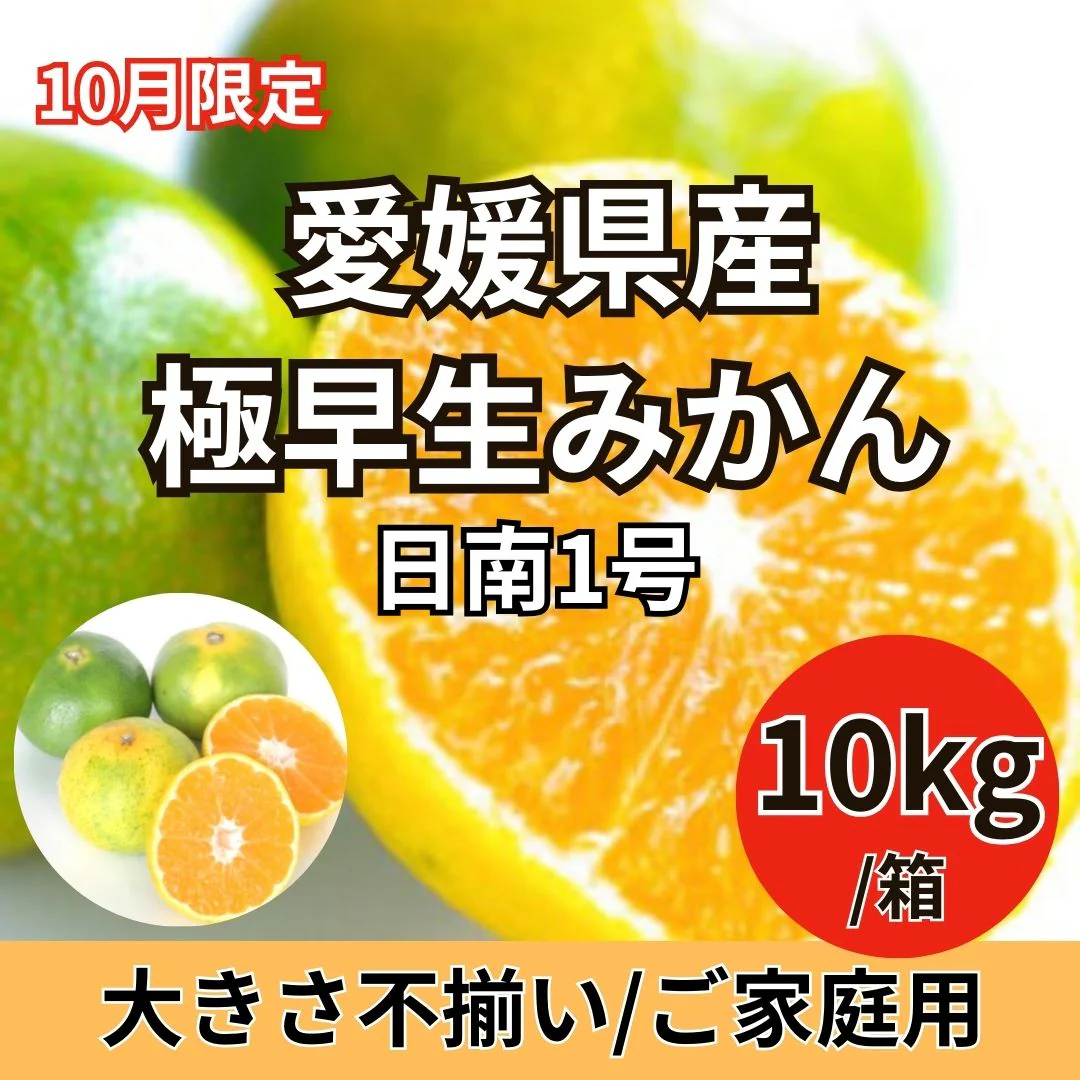 【10kg】愛媛県産みかん （極早生/日南1号）ご家庭用（大きさ不揃い）