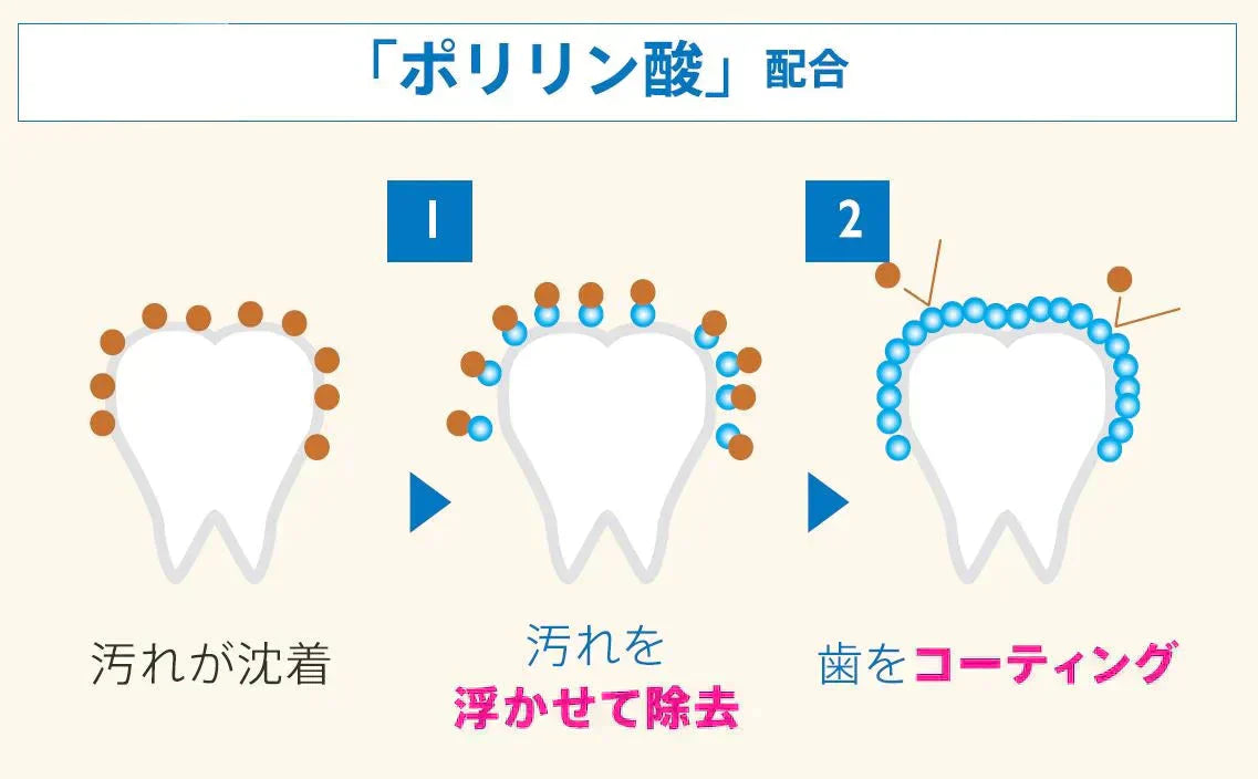【送料無料】ホワイトニング 歯磨き ジェル ３個セット（ポリリン酸配合ジェル)