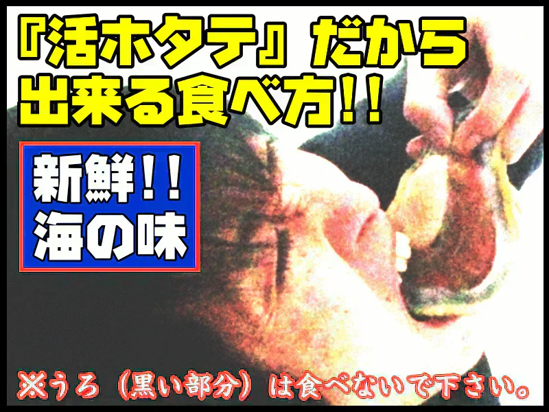 青森 活ほたて 殻付き 中大2キロ（約12枚～18枚）【冷蔵便】 養殖　奇跡の海『むつ湾』からホタテ漁師が贈る逸品