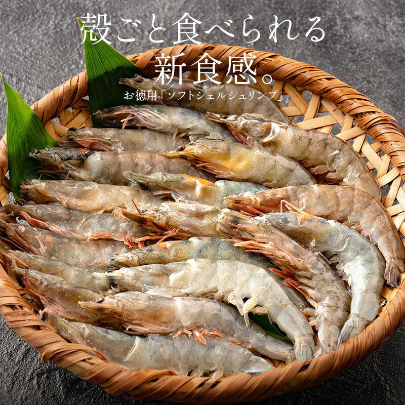 ソフトシェル シュリンプ 500g 20〜25尾 殻付き えび 冷凍えび バナメイえび 海鮮 冷凍 海老 まとめ買い 大量 贈答 エビ おすすめ バナメイ［送料無料］【超得ハイパーSALE】