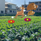 国産ヒトデ100％ いのしかバイバイ！ 300g 害獣駆除 忌避剤 イノシシ対策 シカ対策