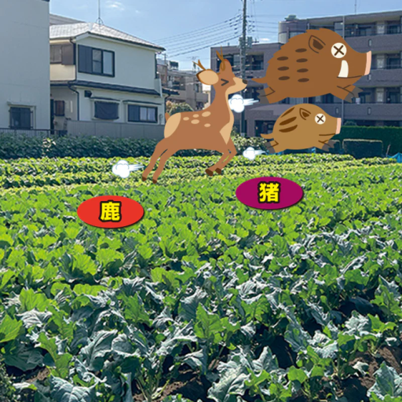 国産ヒトデ100％ いのしかバイバイ！ 300g 害獣駆除 忌避剤 イノシシ対策 シカ対策