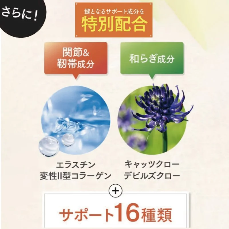 さくらの森【公式】 あゆみ 膝 関節サプリメント サプリ グルコサミン コンドロイチン ブラックジンジャー