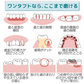Ci PRO ワンタフトブラシ レギュラーヘッド Mふつう 10本セット【メール便送料無料】