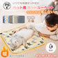 【予約につき12月上旬以内発送予定】ペット用 「あしあと柄」 ホットカーペット ヒーターマット ホットマット ペット電気毛布 PSE認証