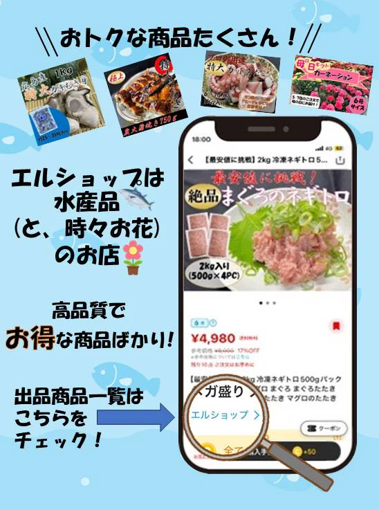 【送料無料】シクラメンSグレード　ピンク系【6寸】