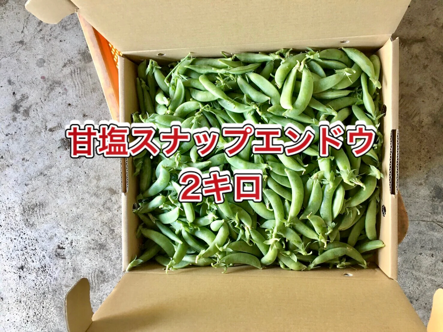 【鹿児島産】甘塩スナップエンドウ箱込み2キロ^_^