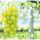【8月中旬〜下旬頃より順次出荷】シャインマスカット ぶどう 送料無料 1kg 2〜3房