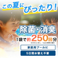 次亜塩素酸水 生成パウダー 粉末 100g(500ppm100L分)（計量スプーン1本付) ジアラボ　ペット　ペット臭 トイレ 犬 猫 小動物 うさぎ おしっこ うんち 臭い