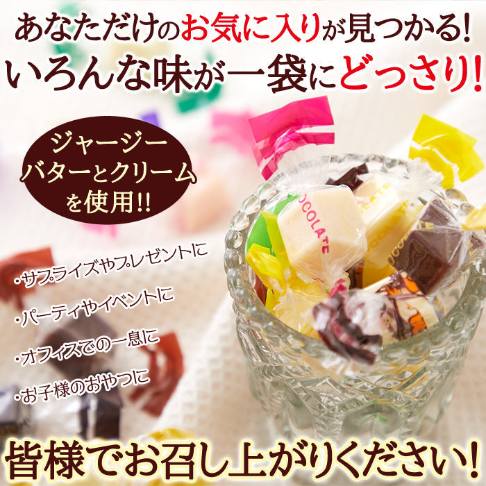 ジャージーミックスひとくちチョコレート200g /ネコポス送料無料