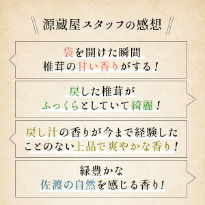 原木しいたけ 椎茸 肉厚 完全無農薬栽培 新潟県 佐渡産 60g