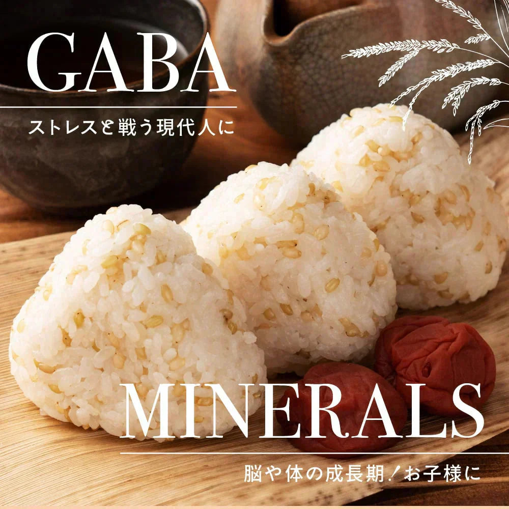 雑穀 雑穀米 国産 緑米 24kg(400g×60袋)