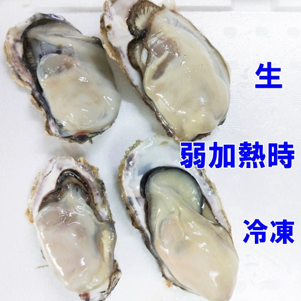 急速凍結 生食用冷凍牡蠣 殻付き 牡蠣 送料無料 ２ｋｇ（目安20個程度） 冷凍便 牡蠣 殻付き 殻付 カキ 牡蛎 かき 松島牡蠣屋 BBQ バーべキュー 二枚貝 貝類  kaki かきカキ