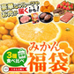 2024 福袋 みかん 福袋 送料無料 高級フルーツ 黒毛和牛 が当たるかもデコポン 干し芋 柑橘 果物 フルーツ 予約 3月上旬-3月末頃より発送予定【福袋】