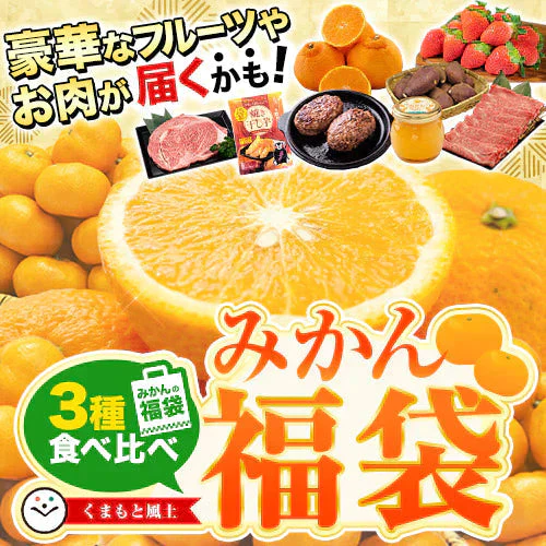 2024 福袋 みかん 福袋 送料無料 高級フルーツ 黒毛和牛 が当たるかもデコポン 干し芋 柑橘 果物 フルーツ 予約 3月上旬-3月末頃より発送予定【福袋】