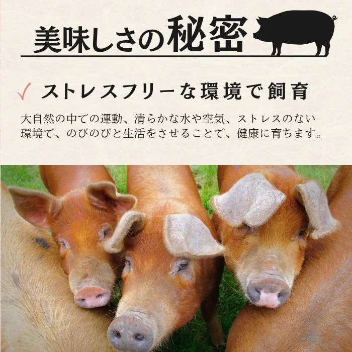【幻の赤豚】焼肉用 モモスライス  計1kg（500g×2P）