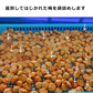 【全国一律送料無料】800ｇつぶれ梅（はちみつ入）400ｇ×2袋セット【エコ得】