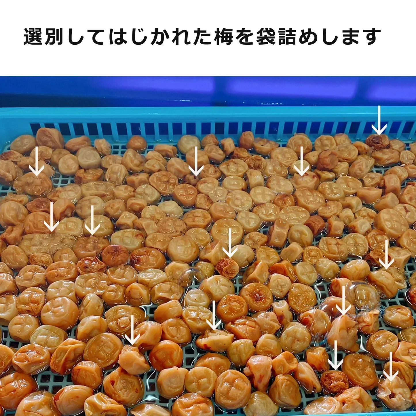 【全国一律送料無料】800ｇつぶれ梅（はちみつ入）400ｇ×2袋セット【エコ得】