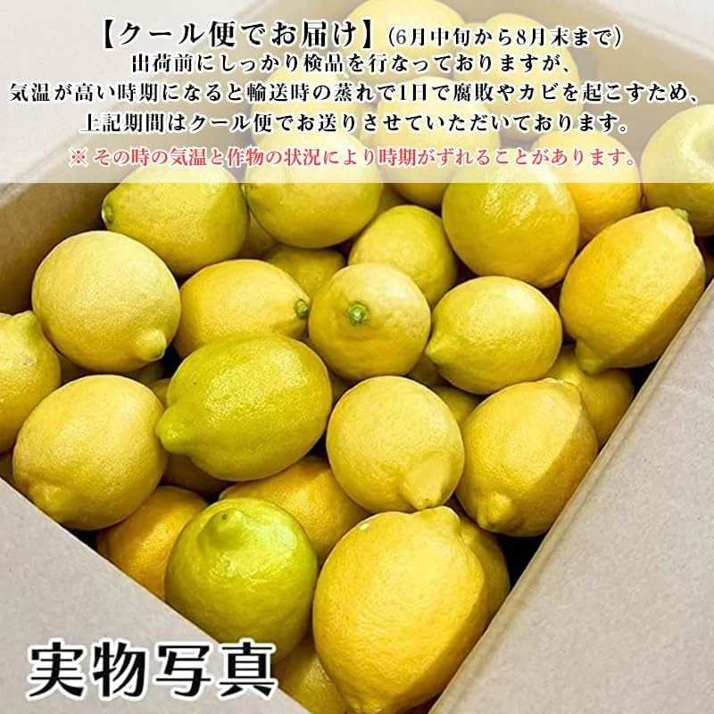 [みさわのやさい]  国産 レモン  訳あり 1kg 皮まで食べられる ノーワックス 防腐剤 防カビ剤 不使用