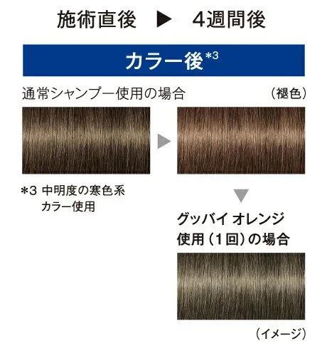 シュワルツコフ　グッバイイエロー　カラーシャンプー