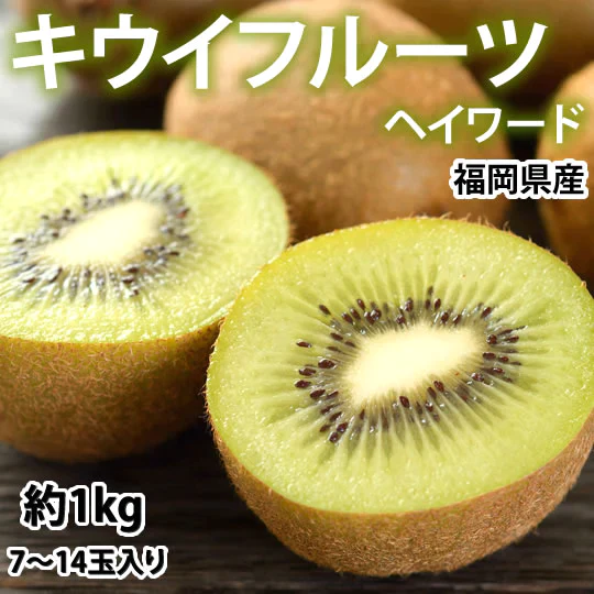 キウイフルーツ ヘイワード 送料無料 約1kg 7～14玉入り 福岡県産 グリーンキウイ フルーツ