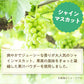★水出しOK★【約60杯分】アレンジルイボスティー　シャインマスカット　カップ用３０個入　２袋セット（グリーンルイボスティー ティーバッグ ノンカフェイン ハーブティー）