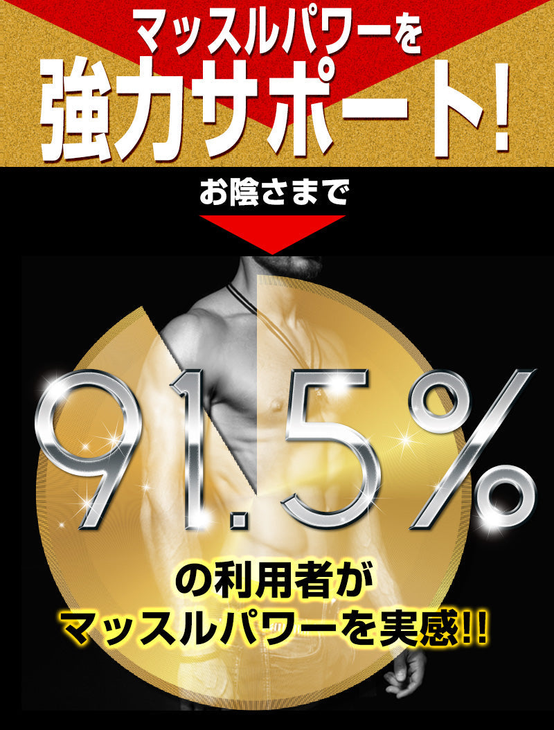 【お得３個セット】HMB トップギアプロ (HMB TOPGIA PRO) マッスルパワーを強力サポート! 筋肉 強力サポート 筋トレ マッスルパワー 中年太り 運動不足 プロテイン ダイエット 男性 筋トレ サプリメント シトルリン　アルギニン クレアチン カルニチン 亜鉛 マカ HMB スッポン マムシ BCAA 馬睾丸 日本 気力 活力 男力 バルクアップ 太く強く 最強のボディー