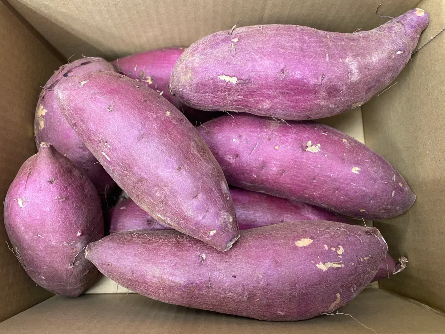 箱いっぱいシリーズ！房総野菜！シルクスイート　2キロ　詰め合わせ　さつまいも　甘くておいしいさつまいも　産地直送　産直　シルク2㎏