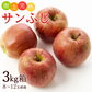 【12月上旬-下旬頃ご注文受付順次】サンふじりんご　約3kg箱　8-12玉前後 樹上完熟りんごを産地直送