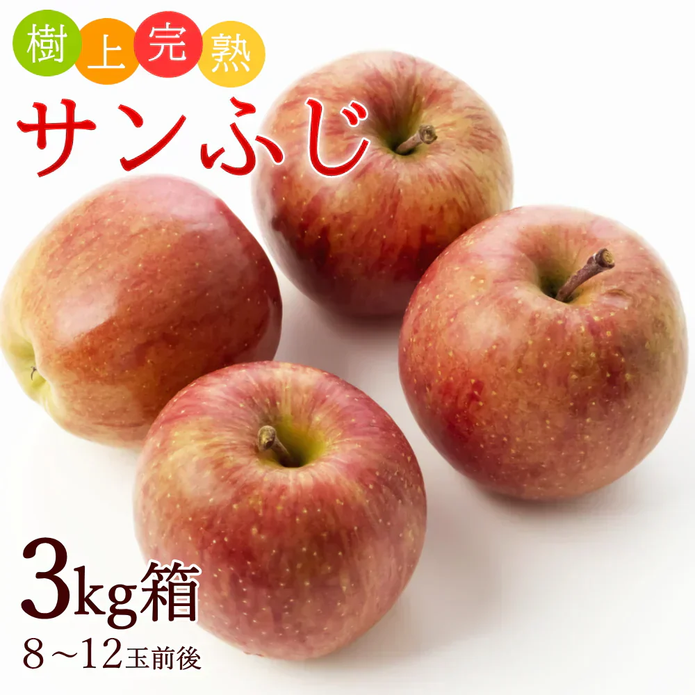 【12月上旬-下旬頃ご注文受付順次】サンふじりんご　約3kg箱　8-12玉前後 樹上完熟りんごを産地直送