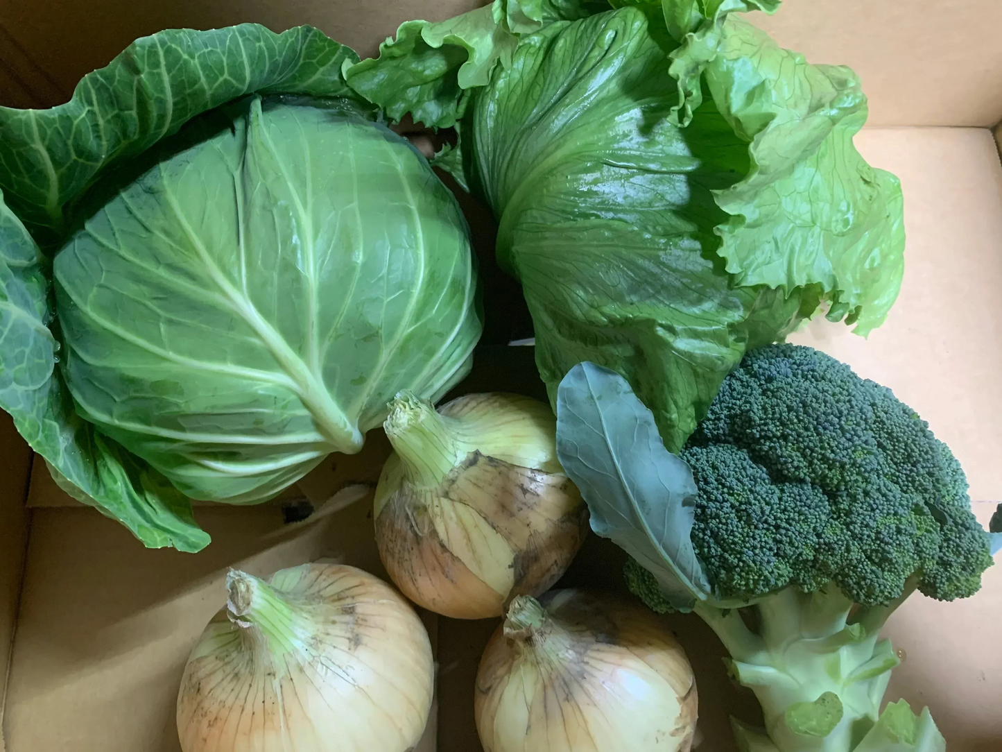 旬の野菜セット🥦🥬新玉ねぎ　ブロッコリー　キャベツ　レタス　シャーロットオニオン　淡路島極熟玉葱【クール便】