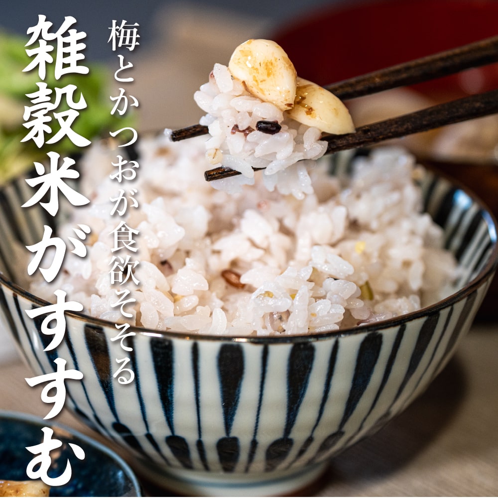 梅にんにく 3kg(100g×30袋) 元気の源 梅ニンニク にんにく 大蒜 梅 ウメ 梅鰹 梅かつお 無臭ニンニク ごはんのお供 おつまみ おかず ニオイなし スタミナ やみつき