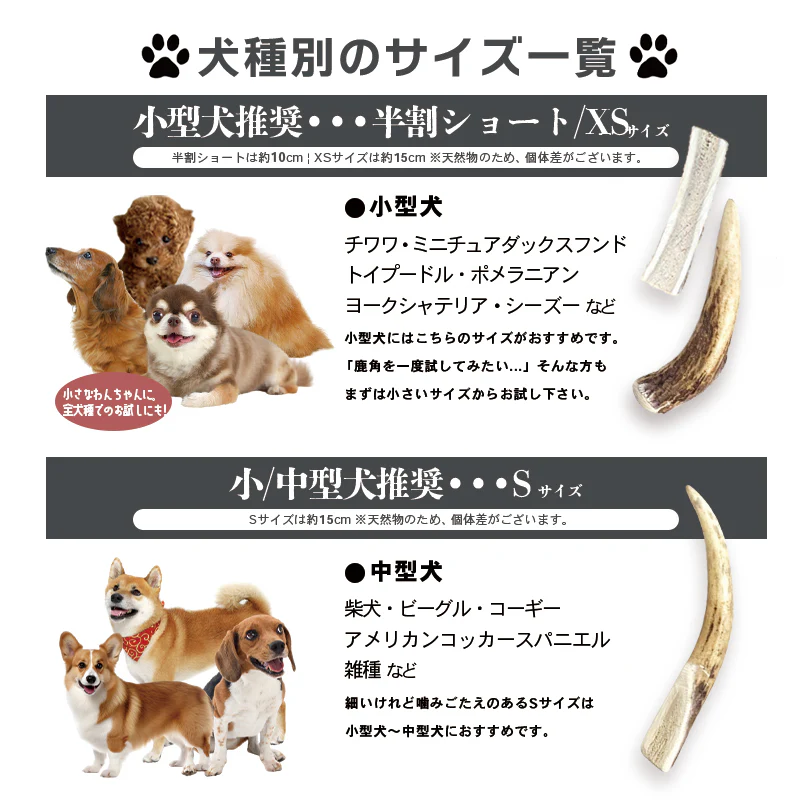 Deerhorn【xsサイズ】 北海道産 鹿角 ペット 犬 おもちゃ 小型犬 プレゼント いたずら防止 おやつ デンタルケア ガム 犬用 鹿の角 天然 無添加 チワワ トイプードル ミニチュアダックス ポメラニアン いぬ イヌ チワワ トイプードル