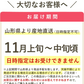 【11月上旬-中旬頃ご注文受付順次】ぐんま名月約5kg箱10-20玉前後 りんご、リンゴ、林檎ふじを超える希少な林檎