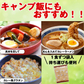 スープカレー 送料無料 8食入 粉末タイプ カレーうどん カレーラーメン カレーメシ