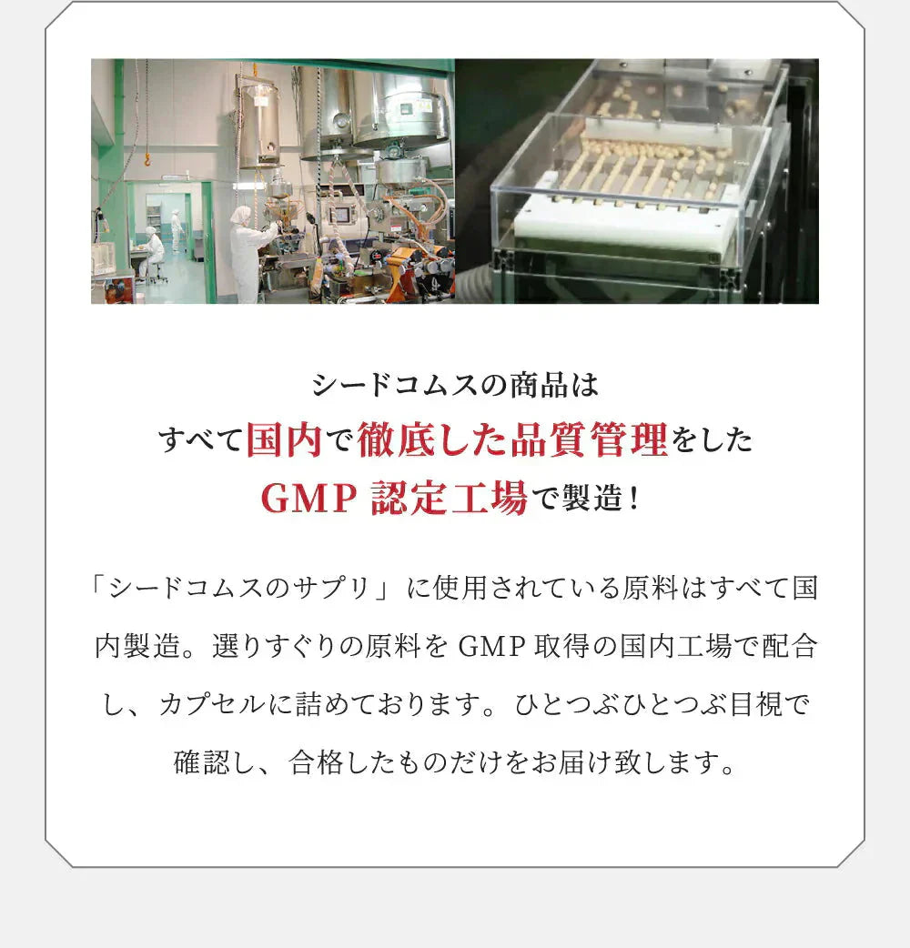 コンブチャ（KOMBUCHA）約1ヶ月分 酵素 コンブチャ  ダイエット サプリ コンブチャ   美容 健康 送料無料 30日分 乳酸菌 美容成分 紅茶キノコ 酵母 ビタミンD 葉酸 ビタミンC ビタミンB  大豆ペプチド コンブ【カウシェファーム収穫対象商品】