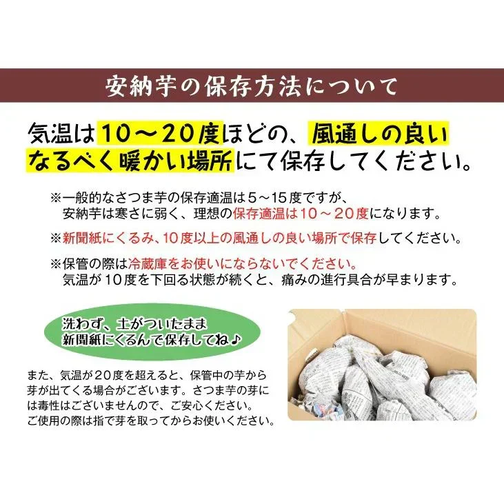 さつまいも 5kg 安納芋 正品 種子島産 送料無料 食品(発送予定:2026年11月中旬より)