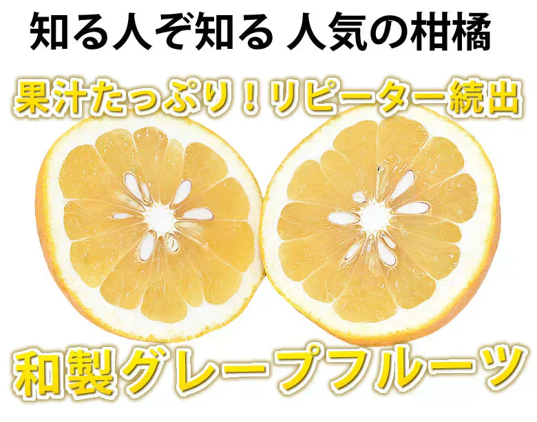 河内晩柑 みかん 送料無料 訳あり 5kg 箱込 (内容量4kg+不良果補償分500g)  S～3L お取り寄せ 和製グレープフルーツ 晩柑 熊本県産 美生柑 フルーツ